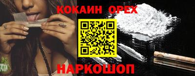 стафф Бердск