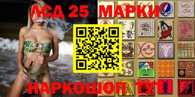 стафф Бердск