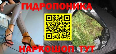 стафф Бердск