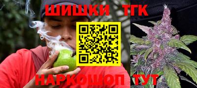 стафф Бердск